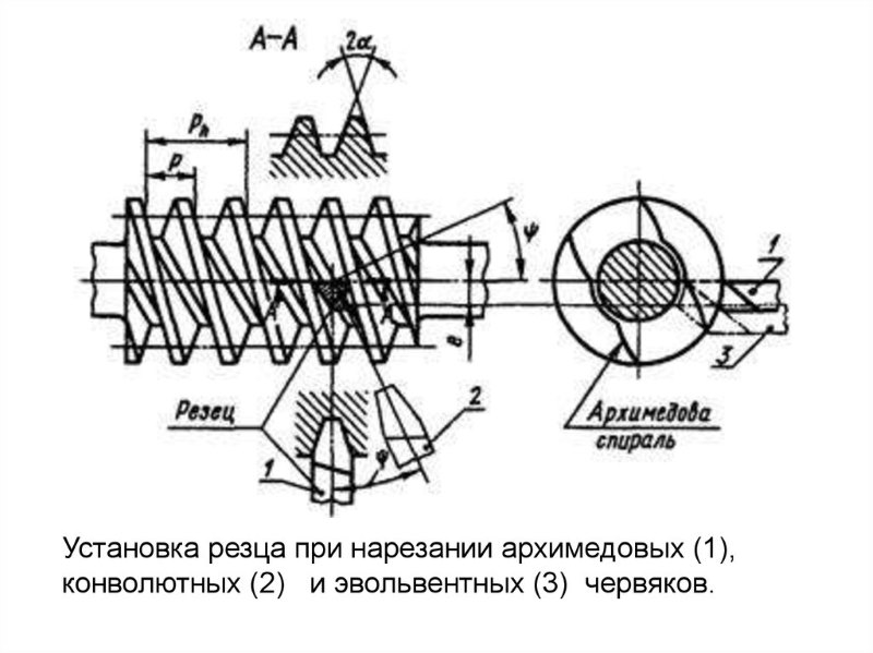 Установка резца при нарезании архимедовых, конволютных и эвольвентных червяков. Установка резца при нарезании архимедовых, конволютных и эвольвентных червяков.