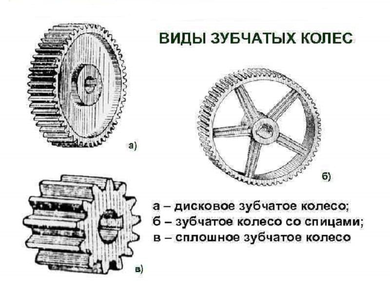 Виды зубчатых колес Виды зубчатых колес