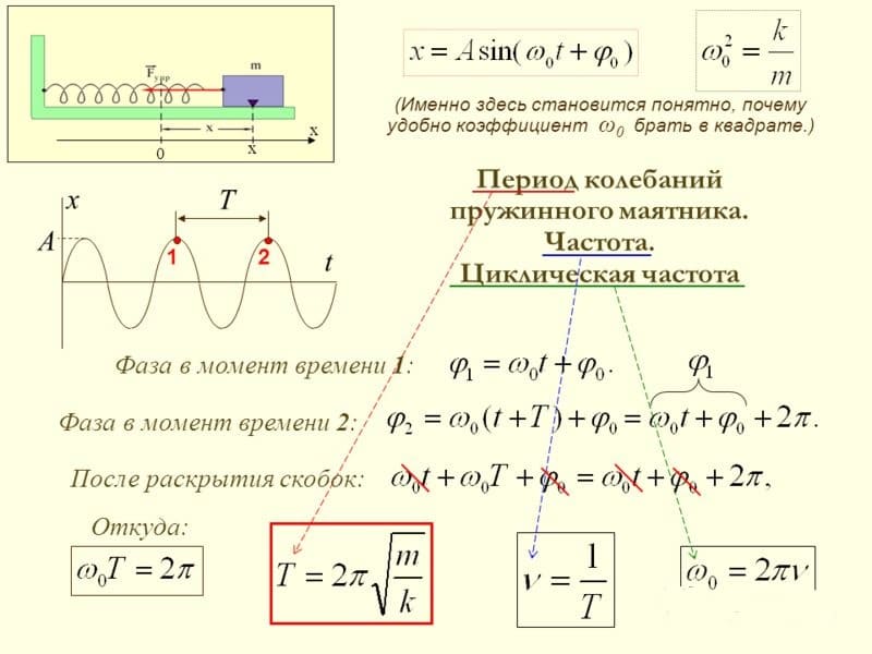 Период колебаний и частота Период колебаний и частота