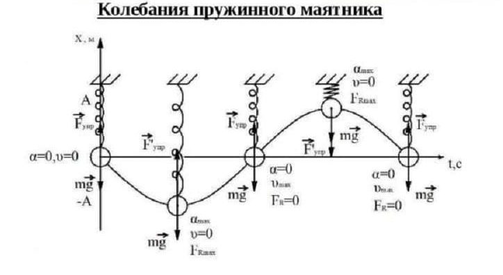 Колебания пружинного маятника Колебания пружинного маятника