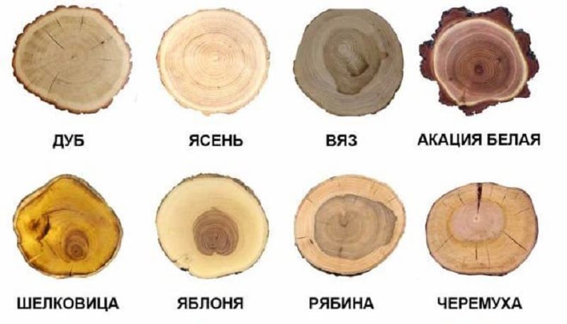 Классификация по породе древесины Классификация по породе древесины